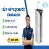 Avatar of Sua May Loc Nuoc Kangaroo Limosa