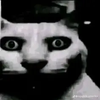Avatar of Zmalokagi5583
