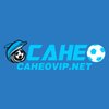 Avatar of CAHEOVIP NET