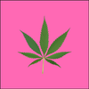 Avatar of anhducvuu