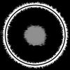 Avatar of Anthony