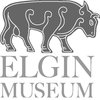 Avatar of Elgin Museum