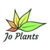 Avatar of Jo Plants