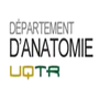 Avatar of Anatomie UQTR - Anatomy UQTR