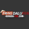 Avatar of bongdalu fun