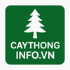 Avatar of caythonginfovn