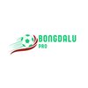Avatar of bongdalu