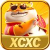 Avatar of xcxcgamecom