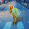 Avatar of najirdeveloper