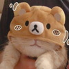 Avatar of felicdacat