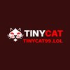 Avatar of Tinycat99 lol
