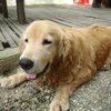 Avatar of Cool_Beans