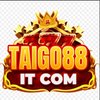 Avatar of taigo88itcom