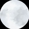 Avatar of Moonphase40