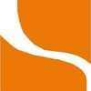 Avatar of Surveying Control Systems