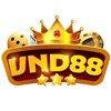 Avatar of VND88