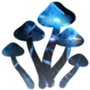 Avatar of Tasshroom33