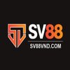Avatar of sv88vndcom
