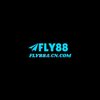 Avatar of FLY88