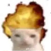 Avatar of MasterGAP