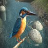 Avatar of mrvictory112