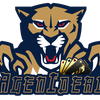 Avatar of agenidealcom