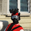 Avatar of NaturalFallout