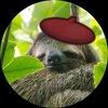 Avatar of sloth_sato