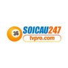 Avatar of Soi cầu 247TVPRO