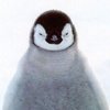 Avatar of pipiano00