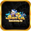 Avatar of bancavangvip