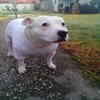 Avatar of Mega_autonomo