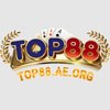 Avatar of top88aeorg1