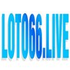 Avatar of Loto66 live