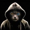 Avatar of ComeComeCatGit