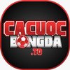 Avatar of cacuocbongdato