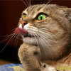 Avatar of CaptDust