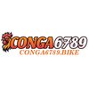 Avatar of conga6789bike