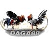 Avatar of Daga888live