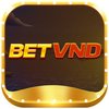 Avatar of betvnd