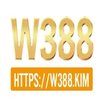 Avatar of W388