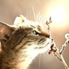 Avatar of Chern.Earn
