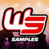Avatar of WS.Samples