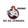 Avatar of ĐÁ GÀ TRỰC TIẾP THOMO HÔM NAY