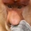 Avatar of Dylan.yourjdhhsjjw