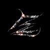 Avatar of Evolvetic