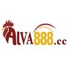 Avatar of viva88cc