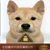 Avatar of KUCF