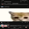 Avatar of virusxd1987