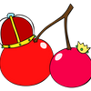Avatar of slightcherry